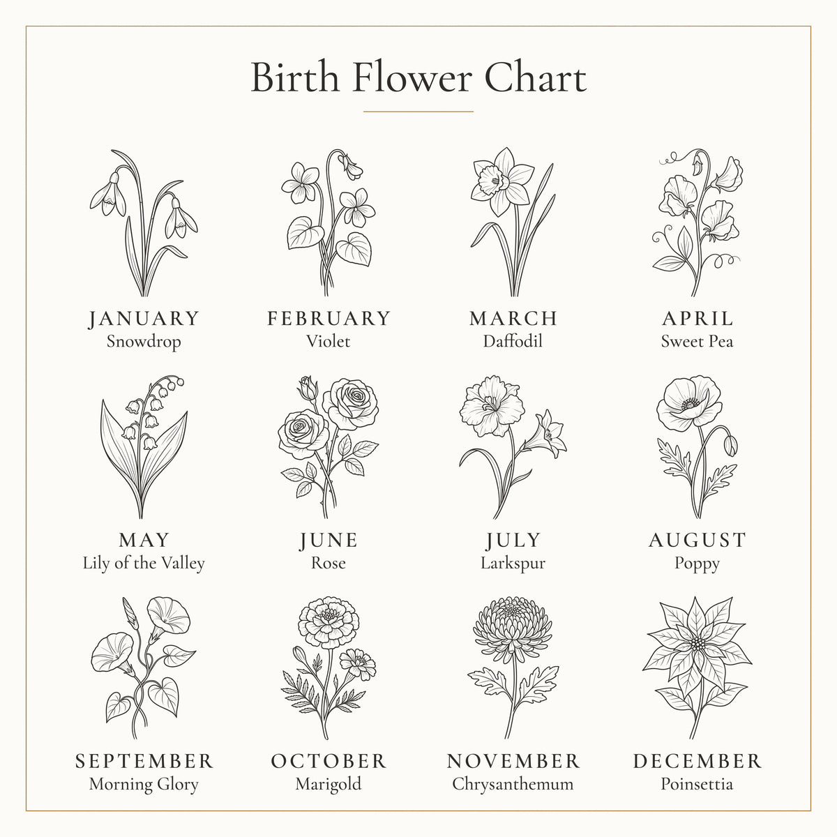Birth flower chart: January Snowdrop, February Violet, March Daffodil, April Sweet Pea, May Lily of the Valley, June Rose, July Larkspur, August Poppy, September Morning Glory, October Marigold, November Chrysanthemum, December Poinsettia