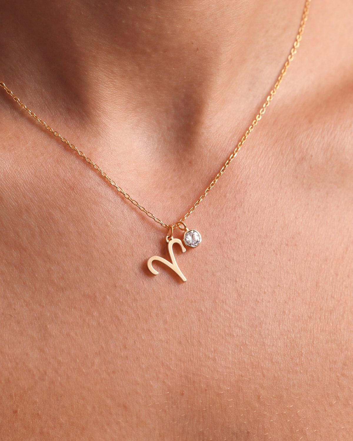 Personalized Zodiac Symbol Necklace – close-up