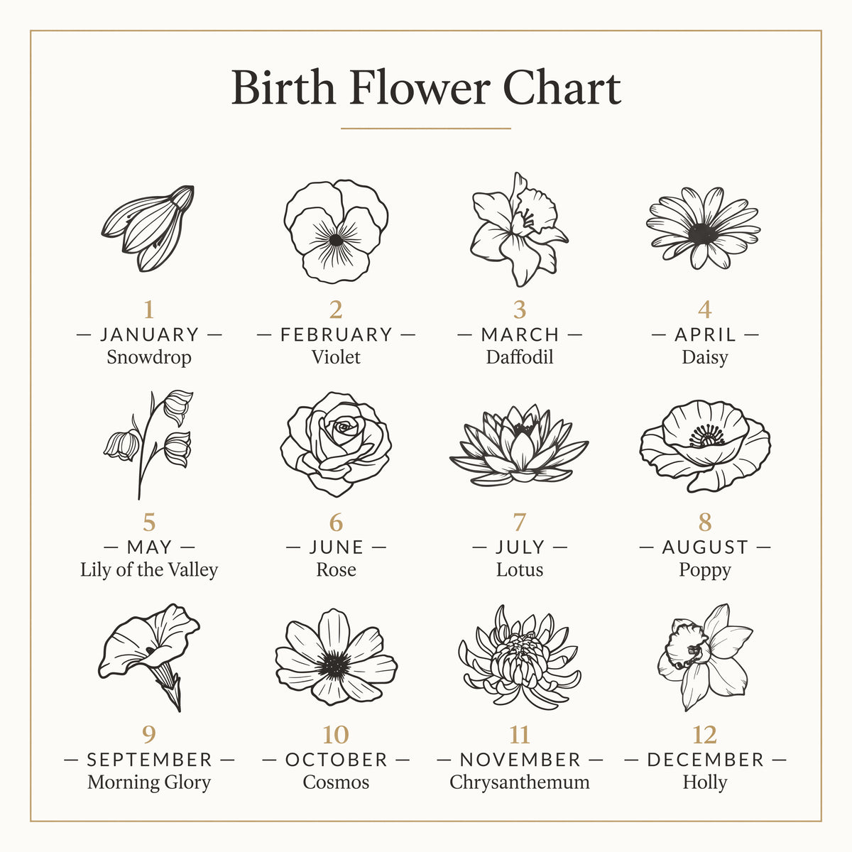 Birth flower chart of our engraved flower designs: 1 January Snowdrop, 2 February Violet, 3 March Daffodil, 4 April Daisy, 5 May Lily of the Valley, 6 June Rose, 7 July Lotus, 8 August Poppy, 9 September Morning Glory, 10 October Cosmos, 11 November Chrysanthemum, 12 December Holly